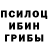 Галлюциногенные грибы Magic Shrooms Nino Mura